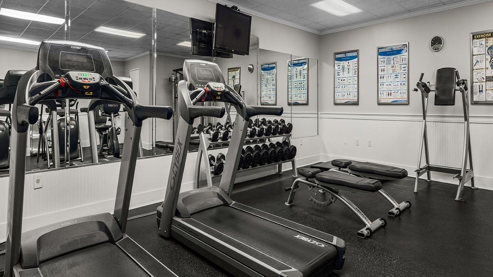 Area fitness