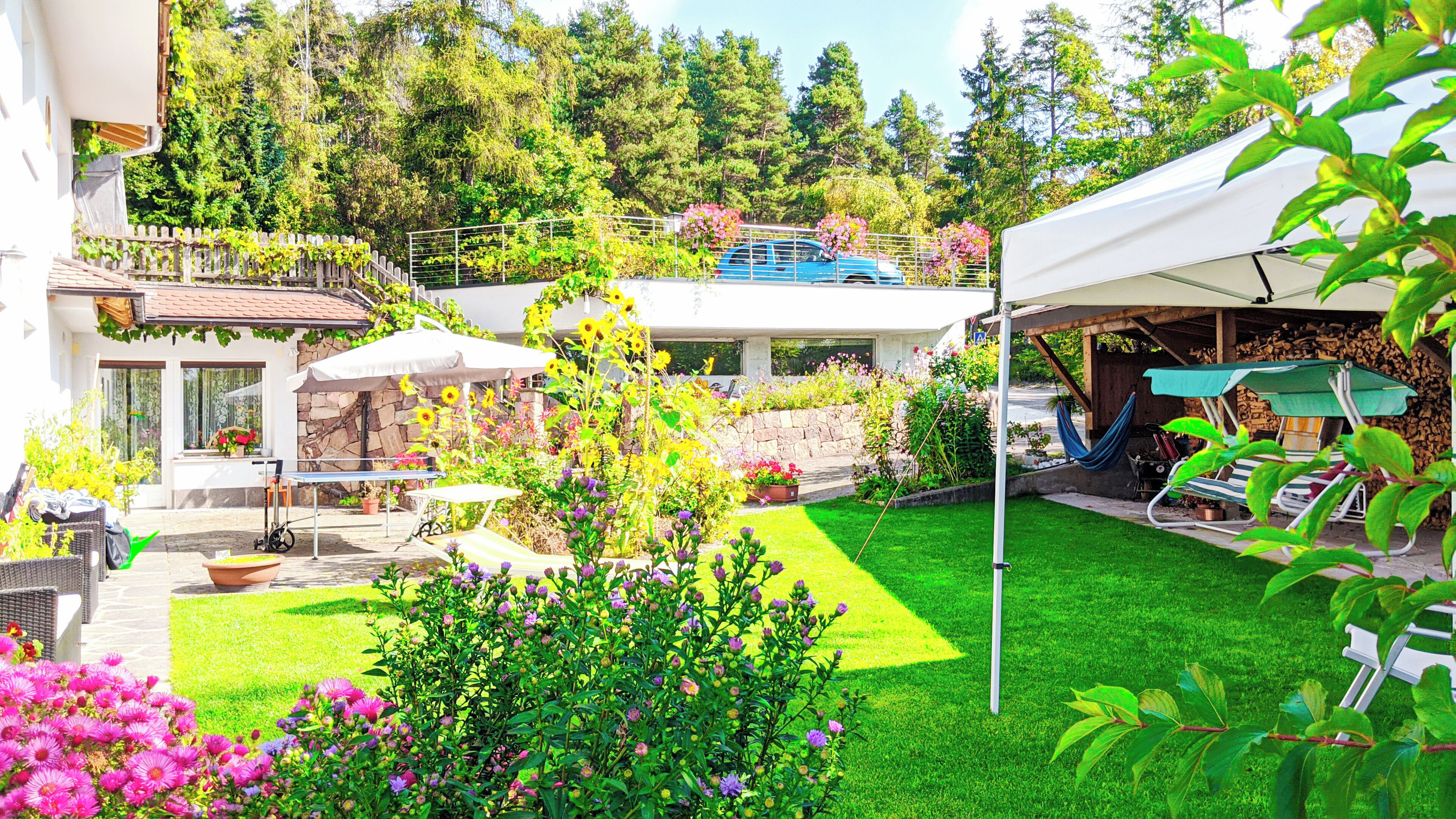 Jardin