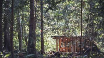 Premium Cabin, Non Smoking, Shared Bathroom
