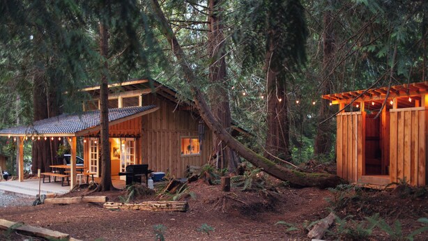 Una cabaña rústica con un porche cubierto y una estructura de madera independiente, rodeada de un bosque denso.