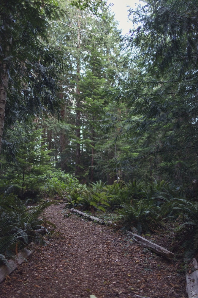 Heartwood Retreats photo 6