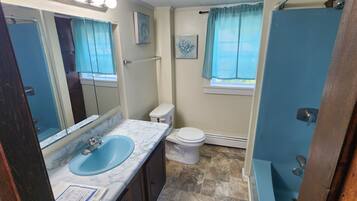 Family House | Bathroom | Combined shower/tub, free toiletries, hair dryer, towels