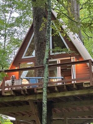 Exterior detail - Spectacular riverfront treehouse in Beautiful Bedford County, PA, (Hopewell)