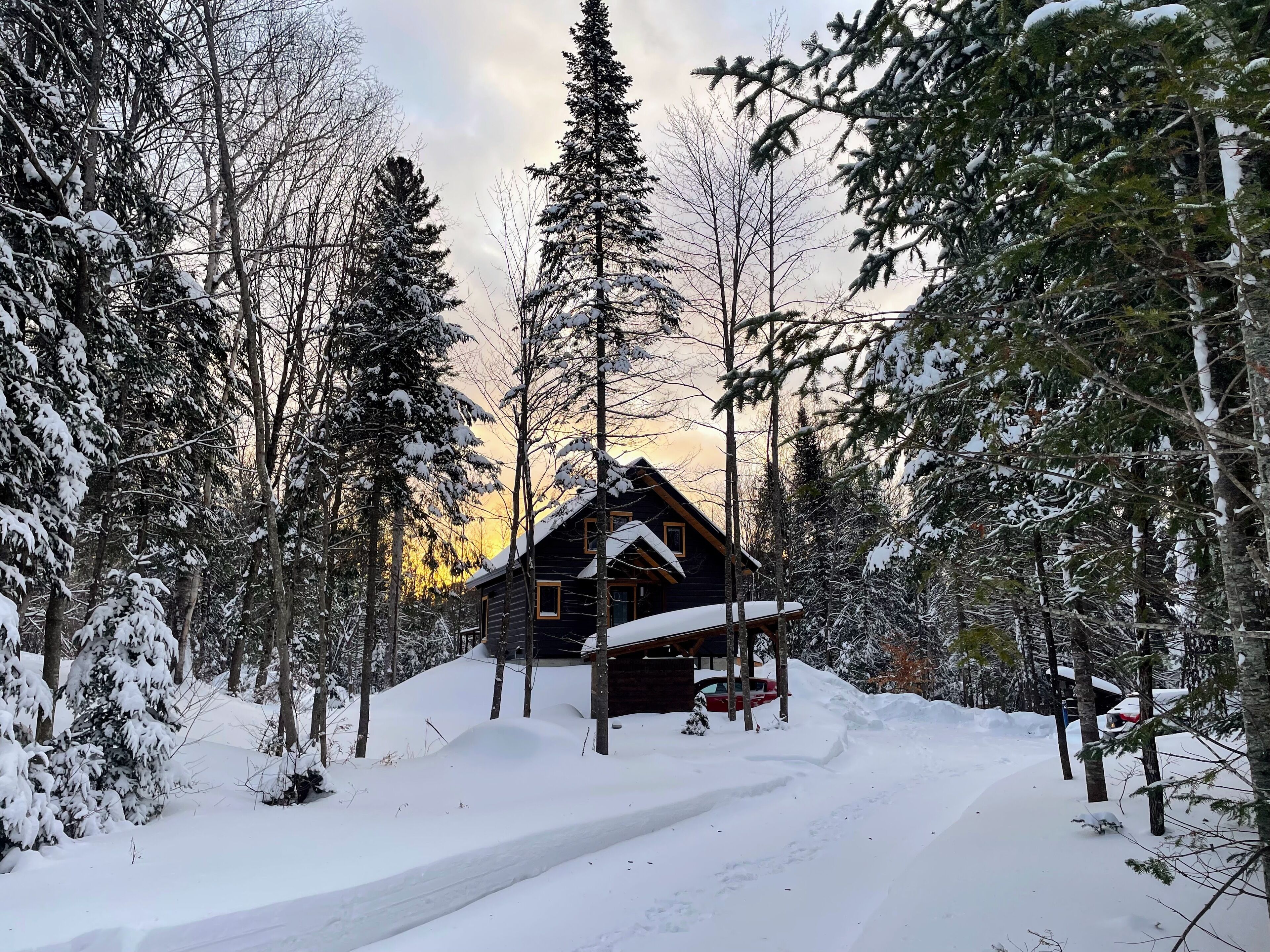 A cabin surrounded by snow-covered trees.