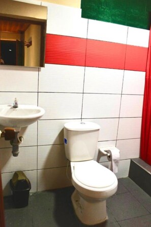 Shower, towels, soap, toilet paper