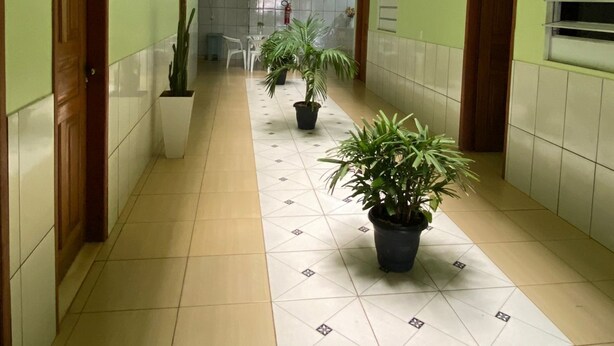 A hallway with tiled floors, potted plants, and green walls. - Hotel ferraz (Tucumã)