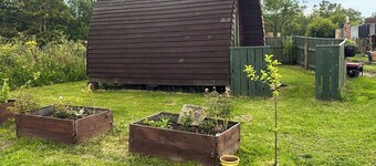 Woodpecker Hollow - UK45980