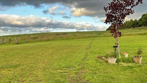 A grassy field with a path, a tree, and some potted plants.