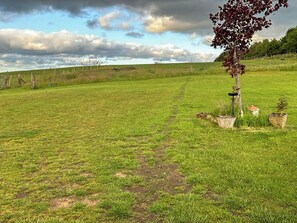 Eine grüne Wiese mit einem Weg, einem Baum und einigen Kübelpflanzen.