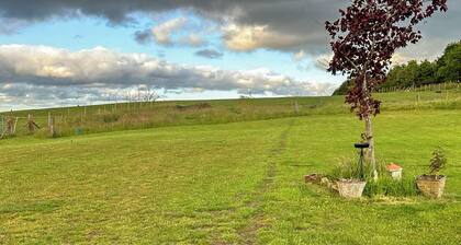 Woodpecker Hollow - UK45980