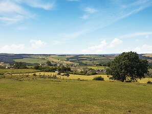 A rural landscape with rolling hills, a few houses, and a large tree in the foreground.