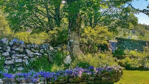 Een tuin met een stenen muur, verschillende planten en bomen.