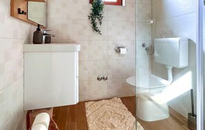 Shower, hair dryer