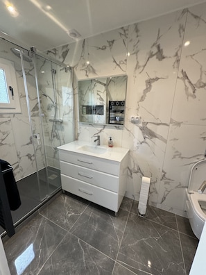 Shower, hair dryer, soap, toilet paper