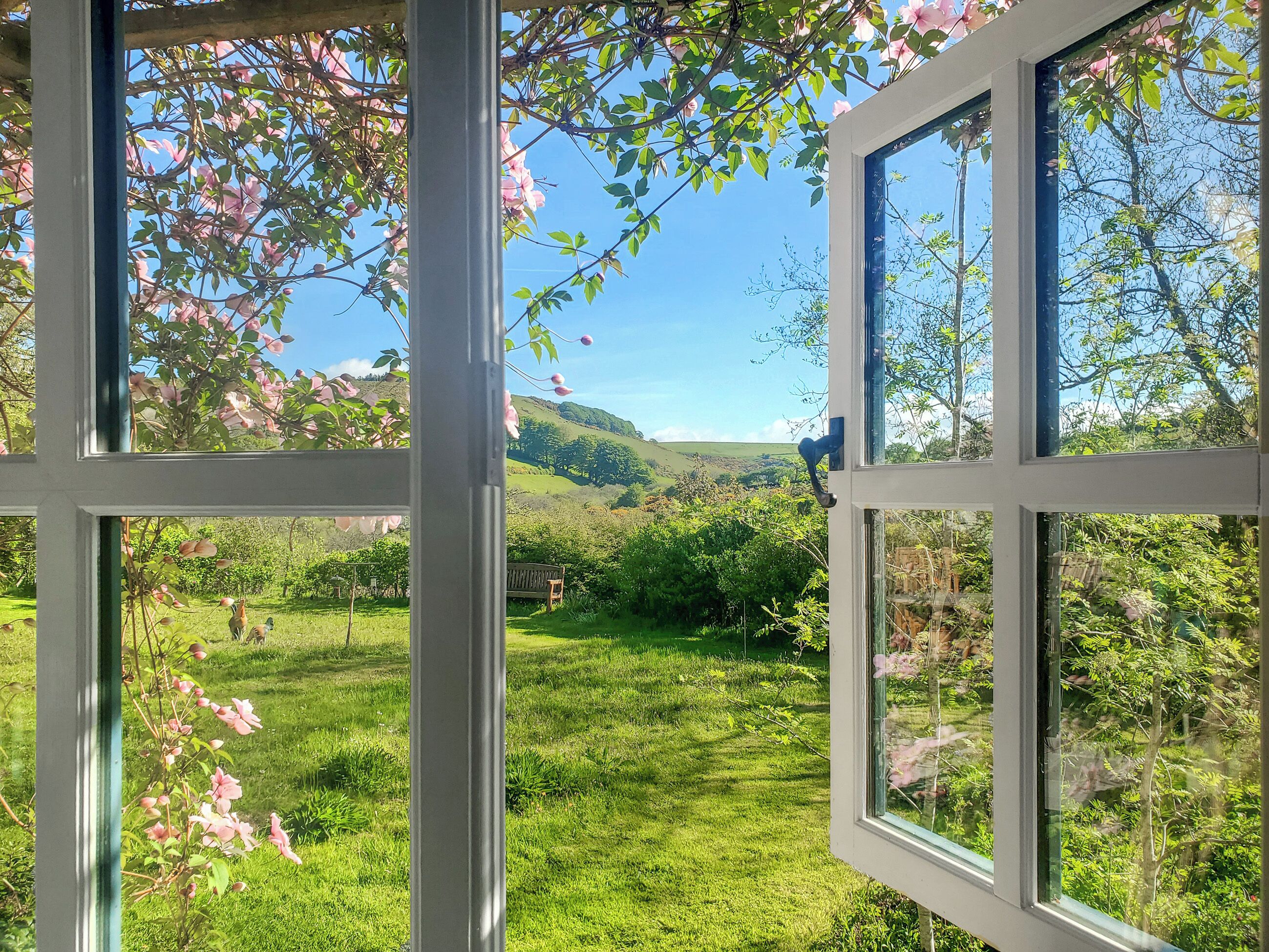 A window with a view of a green landscape, including grass and trees.