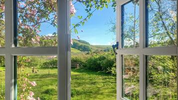 A window with a view of a green landscape, including grass and trees.