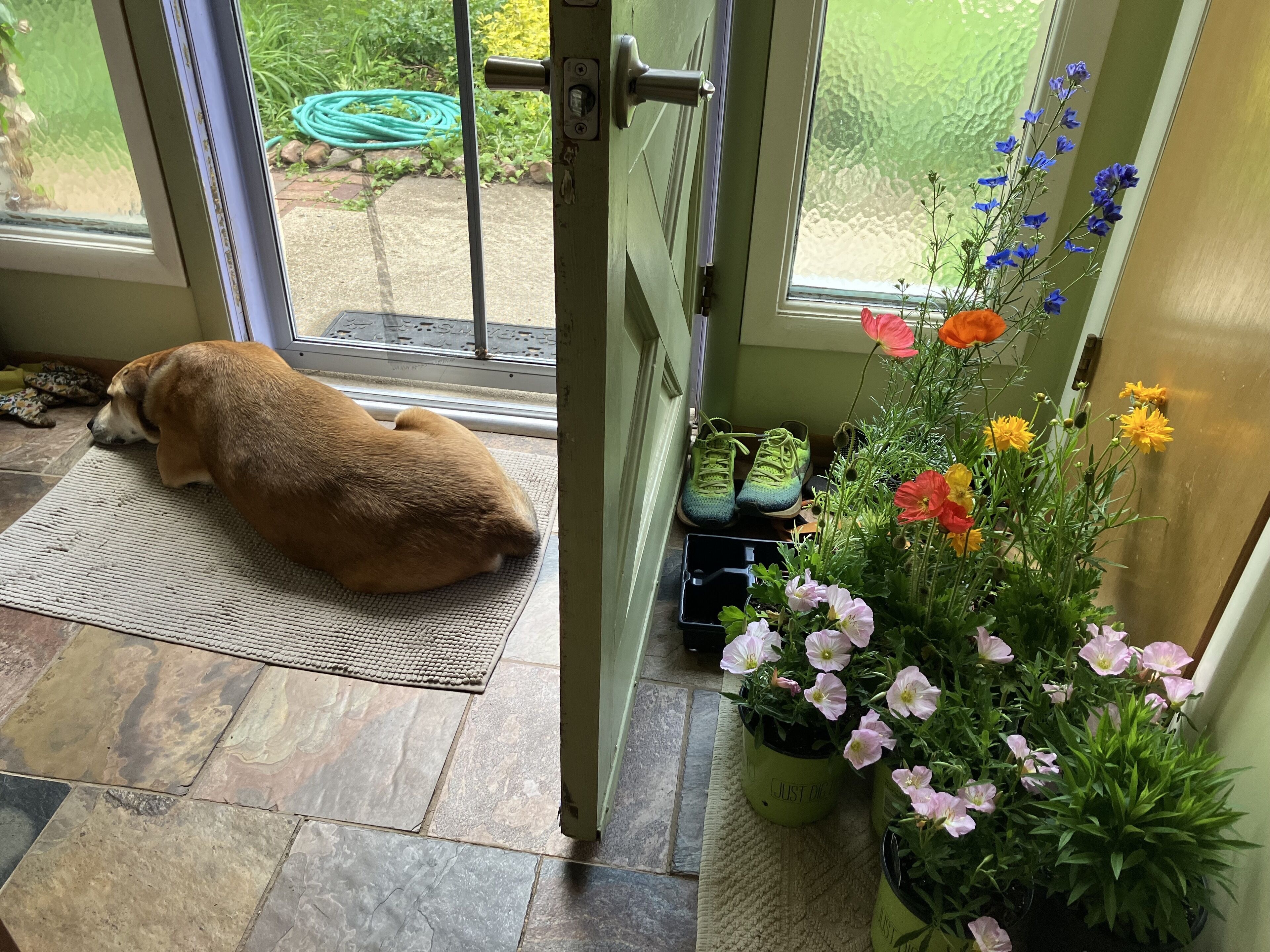 SoBo Guesthouse Cottage