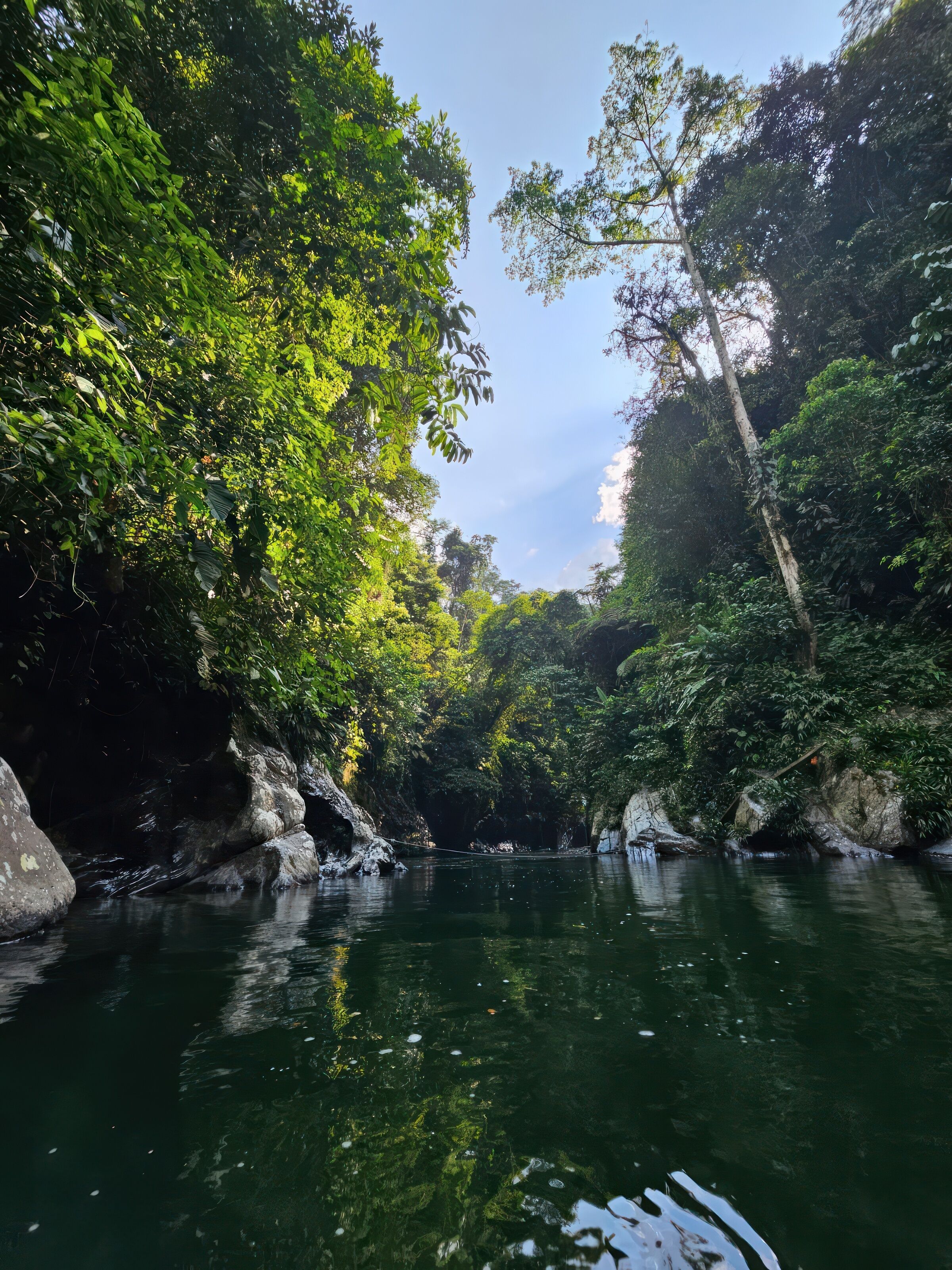 Área da propriedade