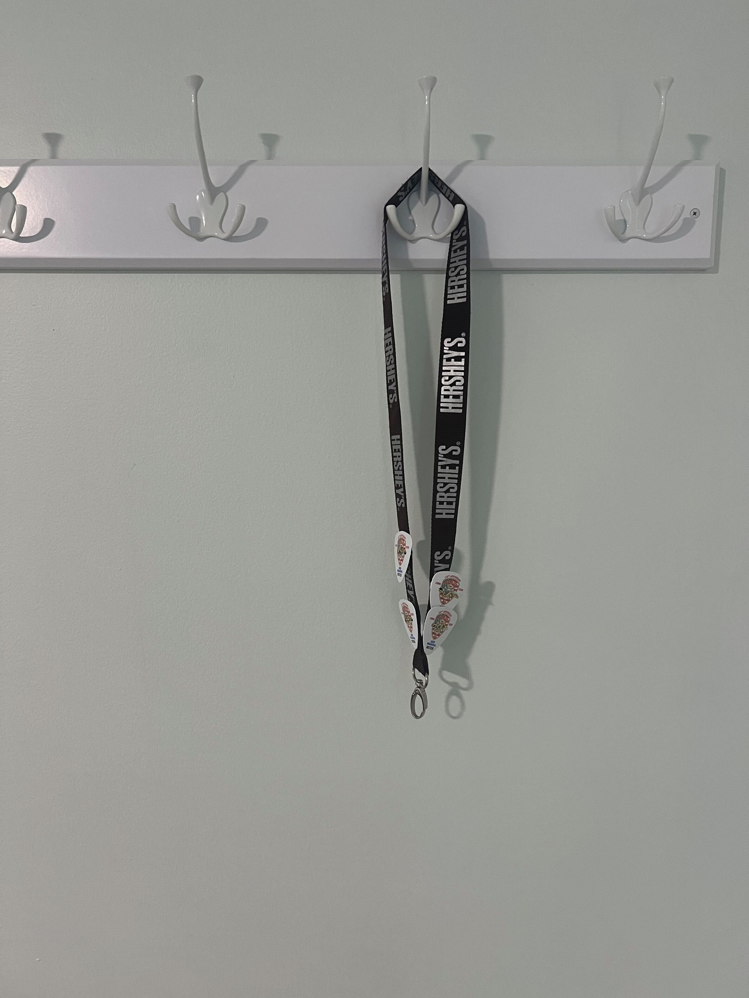 A white wall with a row of hooks.