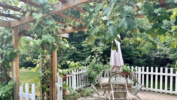 Una pérgola de madera con enredaderas, una cerca blanca de piquetes y una mesa de patio con sillas.