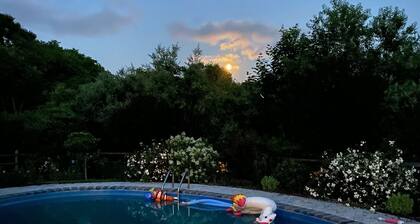 Perfect Retreat for Families - Close to Amazing Wineries, Beaches, and Dining!
