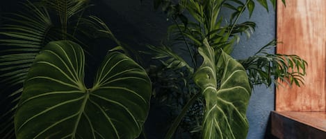 Suite – design, 1 kingsize-seng, balkong | Terrasse/patio