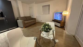 Flat-screen TV