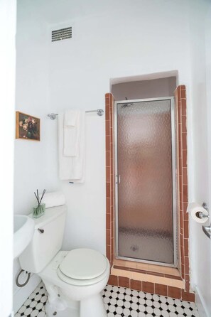 Regadera, secadora de cabello, toallas