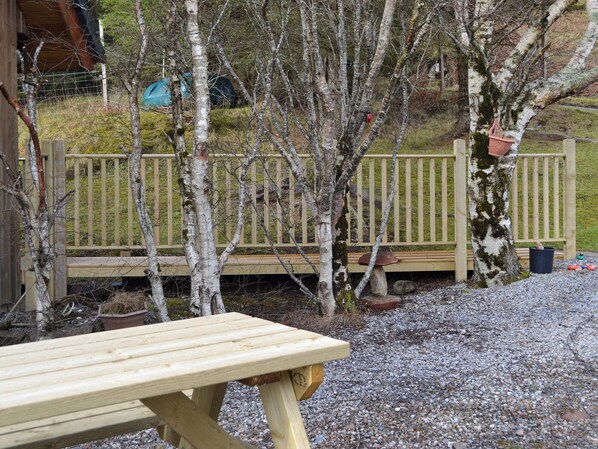 A wooden bench in a garden area with a gravel path, surrounded by birch trees and a wooden fence. - 2 bedroom accommodation in Inverkirkaig (Inverkirkaig)
