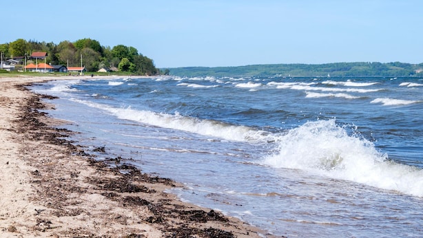 A beach with waves crashing onto the shore, a sandy beach, and houses in the background. - 3 bedroom gorgeous home in Børkop (Børkop)