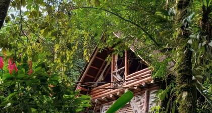 Eco-Crystalline River Eco-Cabin/Hammocks/Fire Pit