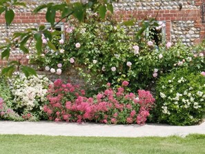 A garden with various flowering plants and a brick wall.