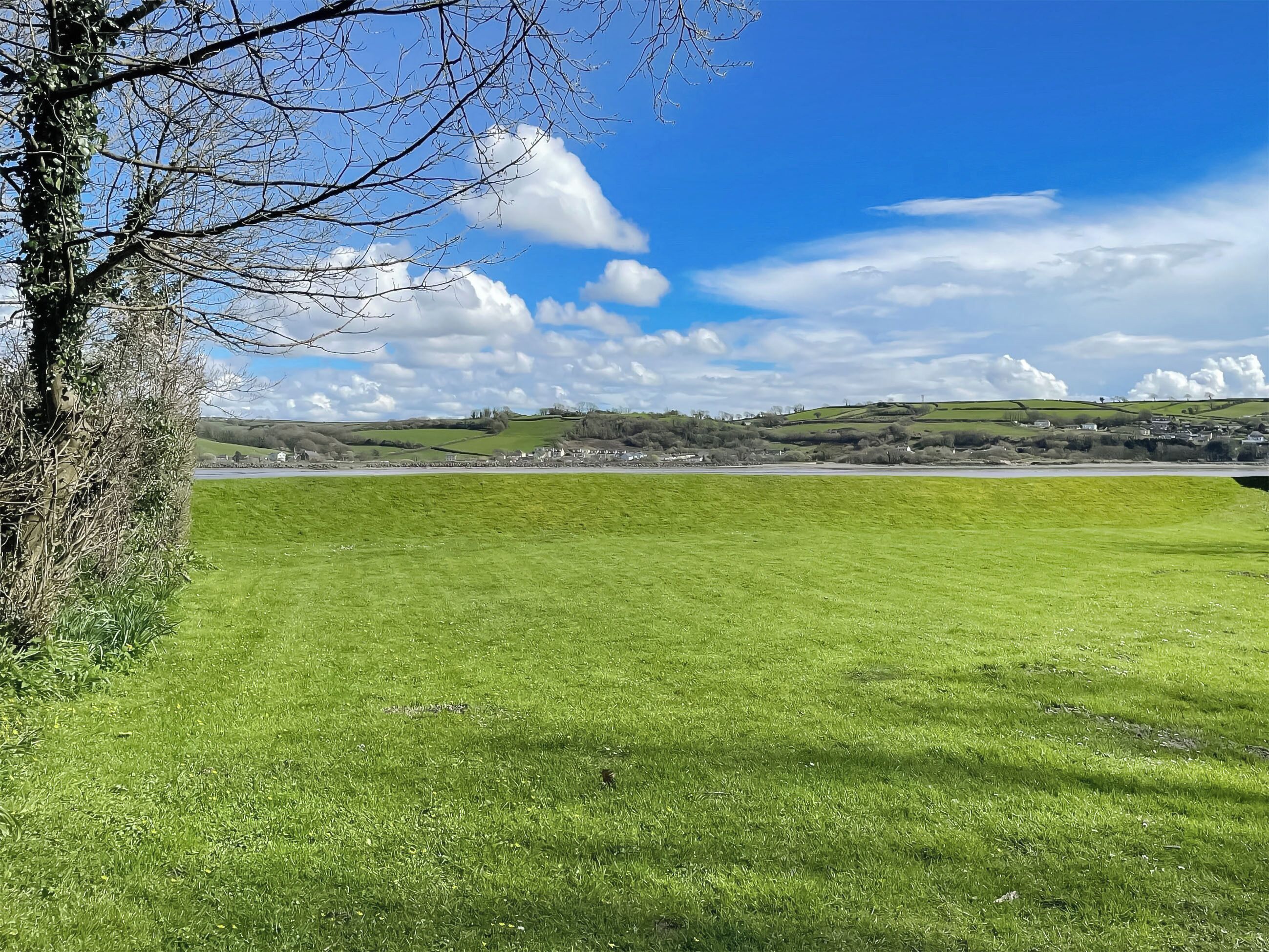 Een grasveld met een boom aan de linkerkant en een afgelegen dorp.