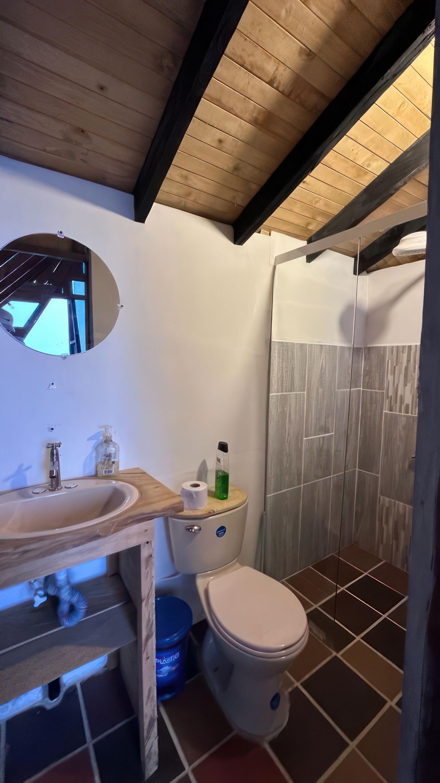 Shower, towels, soap, toilet paper