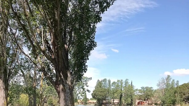 A picnic table by a lake with trees and houses in the background. - Village Camarguais Logement 4 Personnes (Arles)