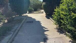 A pathway flanked by tall trees and bushes, leading to a building. - Village Camarguais Logement 4 Personnes (Arles)