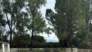 A rectangular swimming pool with a metal safety fence, surrounded by trees and a grassy area. - Village Camarguais Logement 4 Personnes (Arles)
