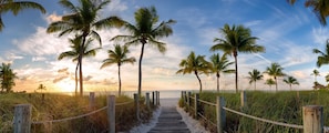 Walk along the beach path, flanked by tall palm trees, to a secluded beach area.