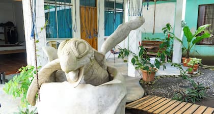 Quad Room Beachfront, Pura Natura Tortuguero