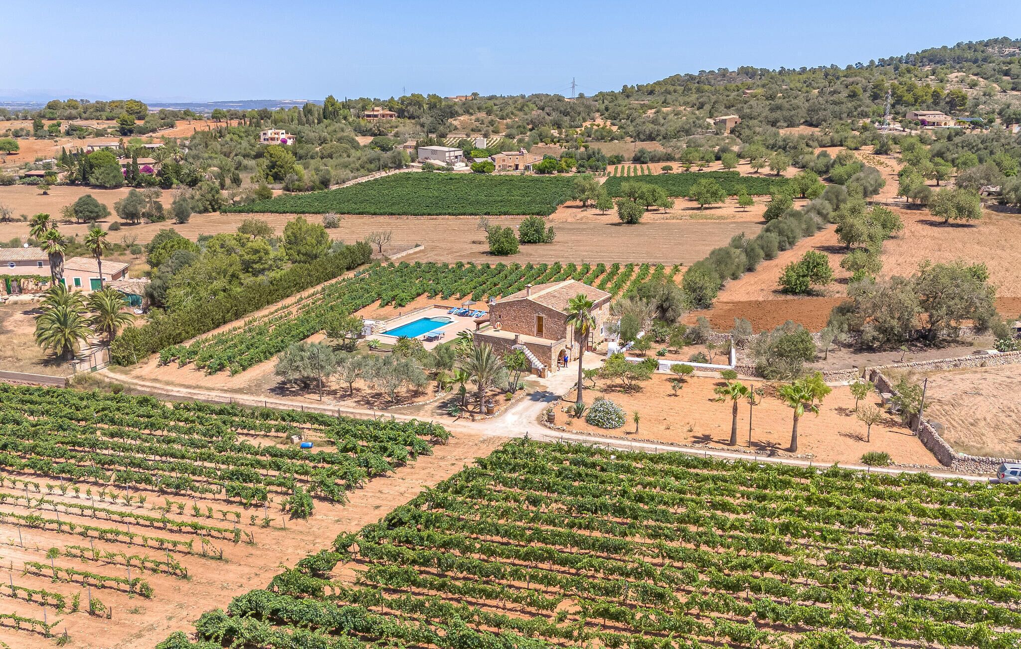 Un vignoble avec des rangées de vignes, un bâtiment en pierre doté d’une piscine, et un paysage vallonné en arrière-plan.