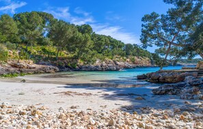 Une plage à l’eau turquoise et limpide, avec un rivage rocheux et une végétation dense de pins.