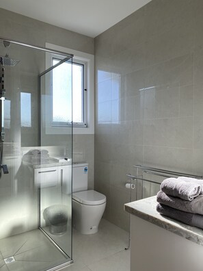 Hair dryer, towels, soap, shampoo