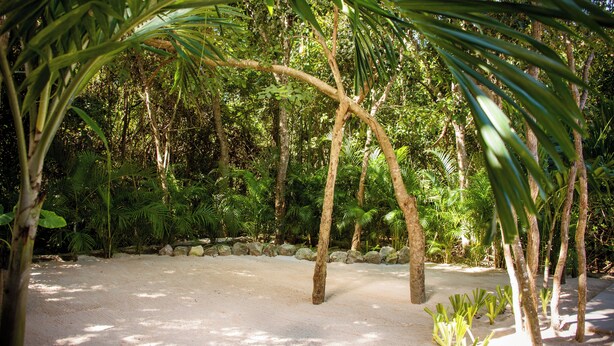 A tropical garden with palm trees, a sandy path, and a stone wall. - Grand Sirenis (Akumal)