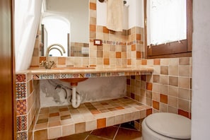 Shower, hair dryer, bidet