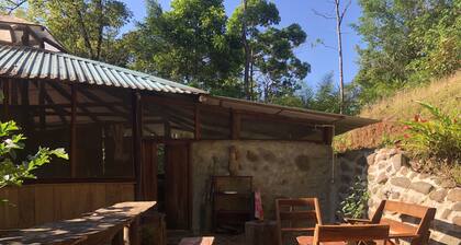 Secluded Treehouse in the the Rainforest
