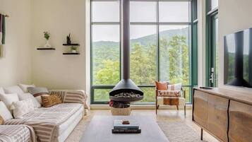 TV, fireplace, offices