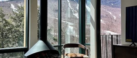 TV, fireplace, offices