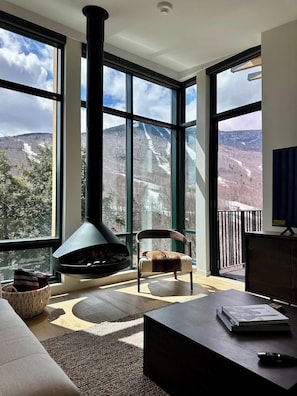 TV, fireplace, offices