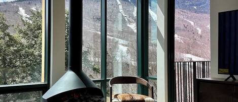 Télévision, cheminée, livres, espaces bureaux