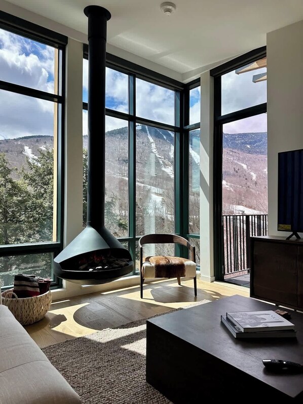 TV, fireplace, books, offices